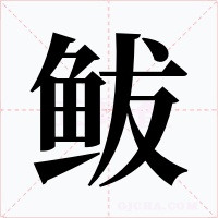 鲅字字形
