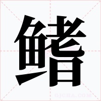 鳍字的字形和写法