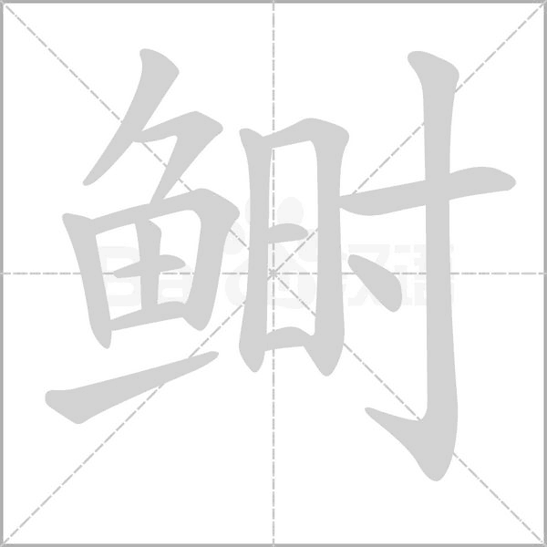 鲥字笔顺图