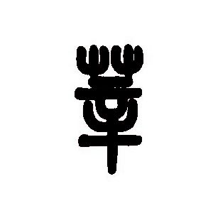 莘姓图腾
