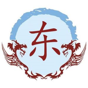 东姓图腾