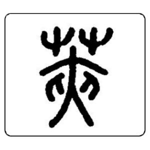 荚姓图腾