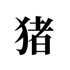猪姓图腾