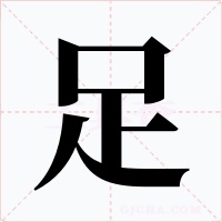 足字的字形和写法
