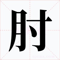 肘字的字形和写法
