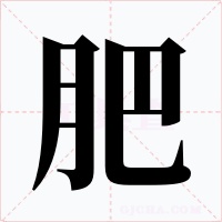 肥字的字形和写法