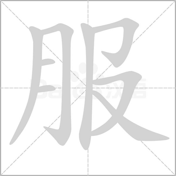 服字笔顺图