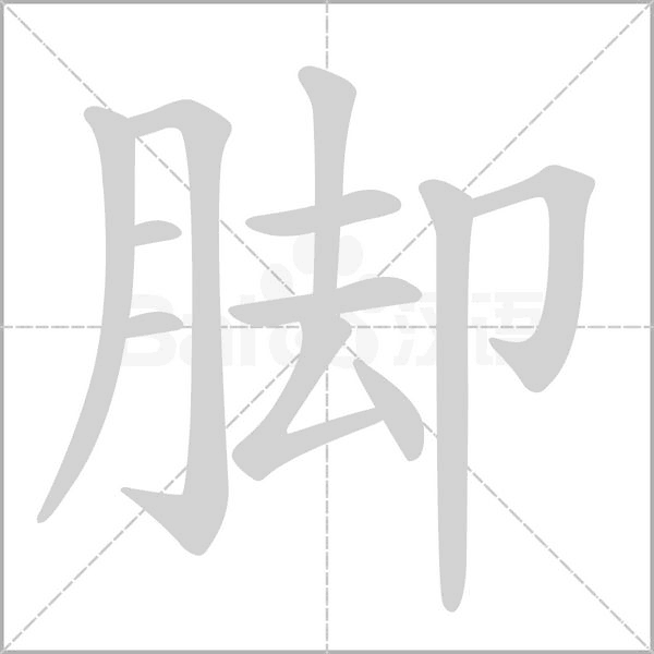 脚字笔顺图