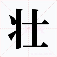 壮字字形