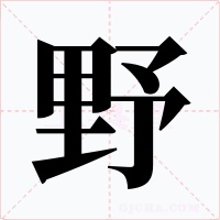 野字字形
