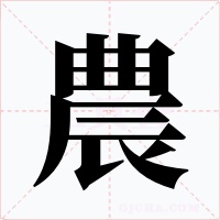 農字字形