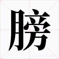 膀字的字形和写法