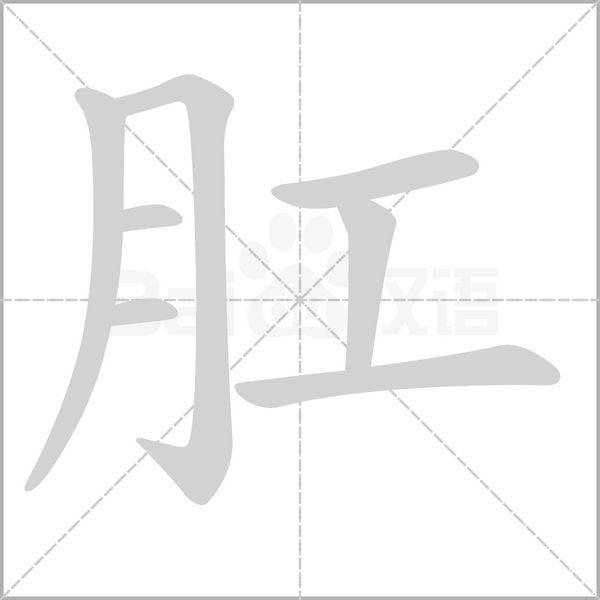 肛字笔顺图