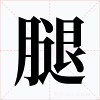腿字字形