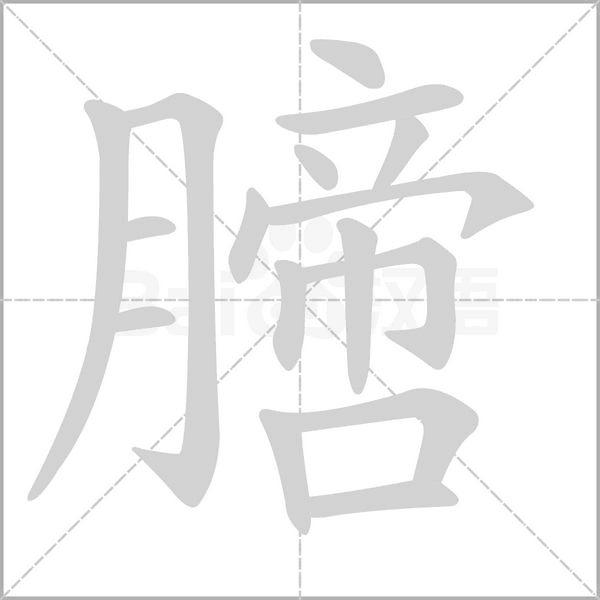膪字笔顺图