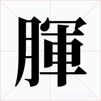 腪字的字形和写法