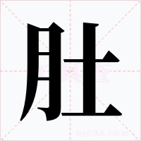 肚字的字形和写法