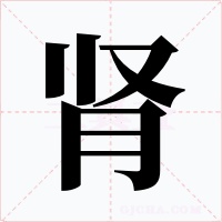 肾字的字形和写法