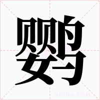 鹦字字形