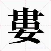 婁字字形