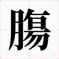 膓字字形
