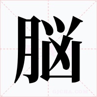 脳字的字形和写法