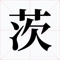 茨字的字形和写法
