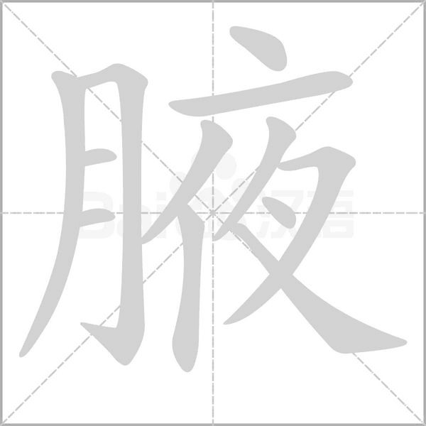 腋字笔顺图