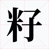 籽字字形
