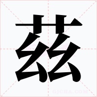 茲字的字形和写法
