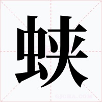 蛱字字形