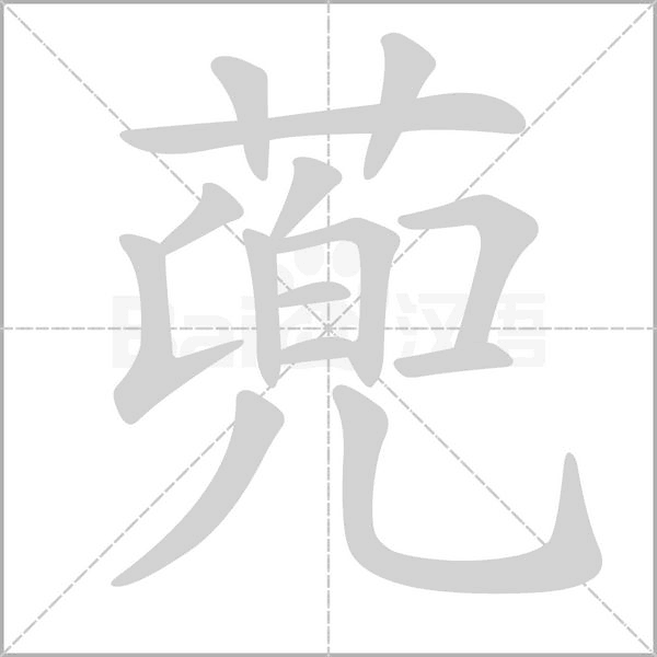 蔸字笔顺图