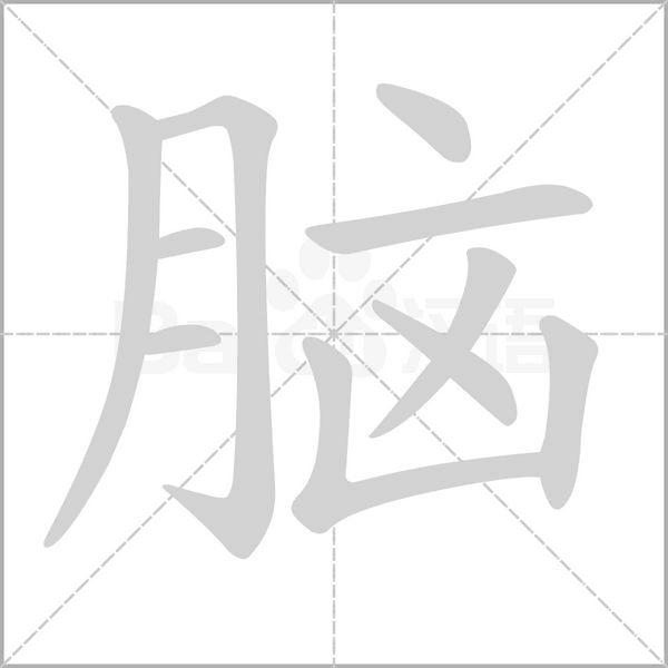 脑字笔顺图