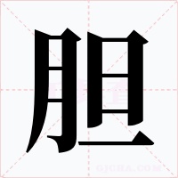 胆字的字形和写法