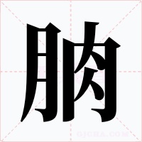 朒字的字形和写法