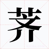 荠字字形