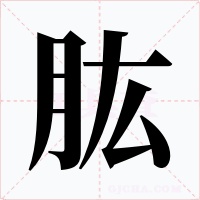 肱字字形