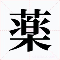 薬字的字形和写法