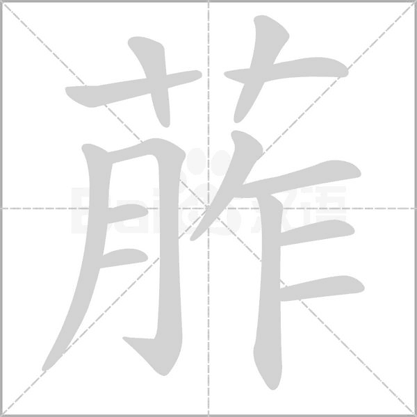 葄字笔顺图