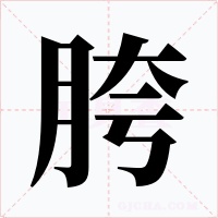 胯字的字形和写法