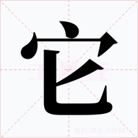 它字的字形和写法