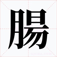 腸字字形