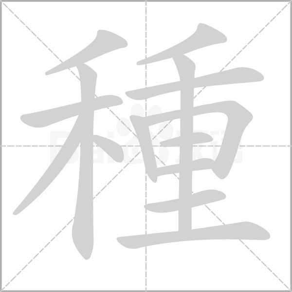 種字笔顺图