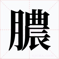 膿字的字形和写法