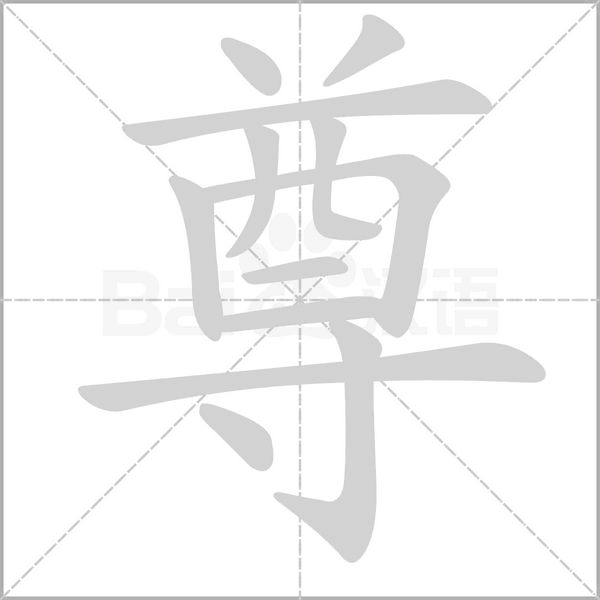 尊字笔顺图