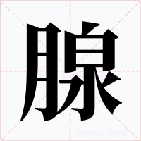 腺字的字形和写法