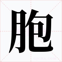 胞字字形