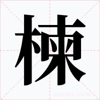 楝字的字形和写法