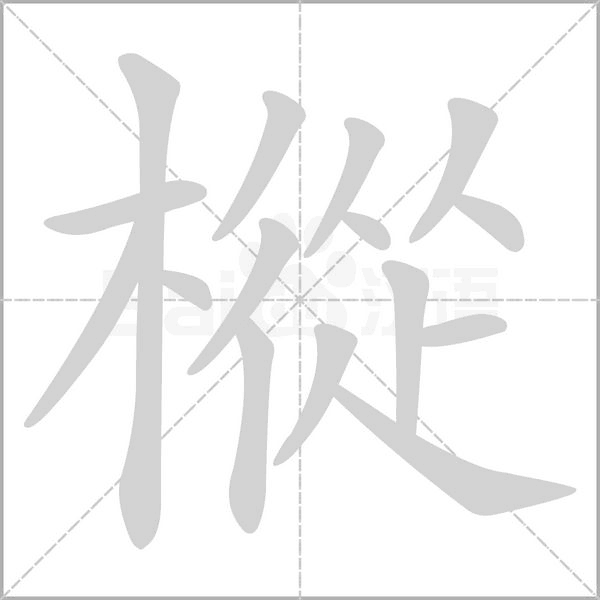 樅字笔顺图