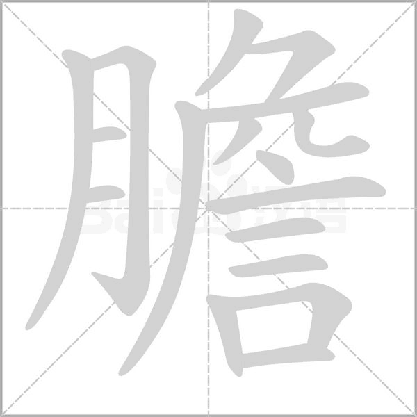 膽字笔顺图